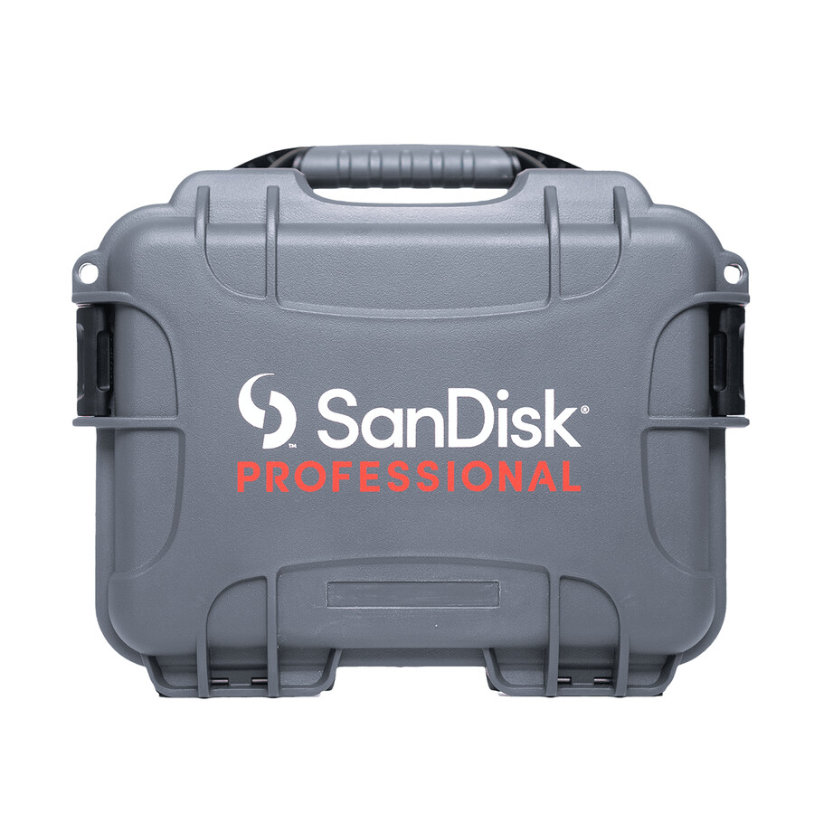 custodia rigida pro-blade sandisk
