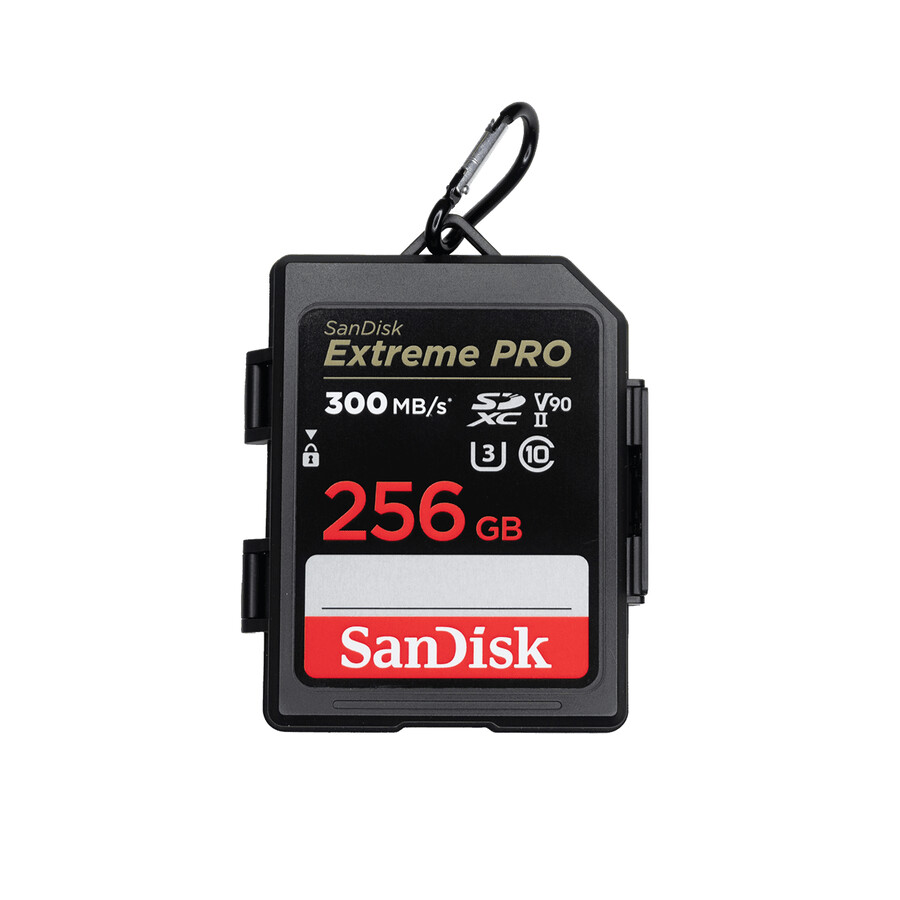 custodia per schede di memoria sandisk sandisk