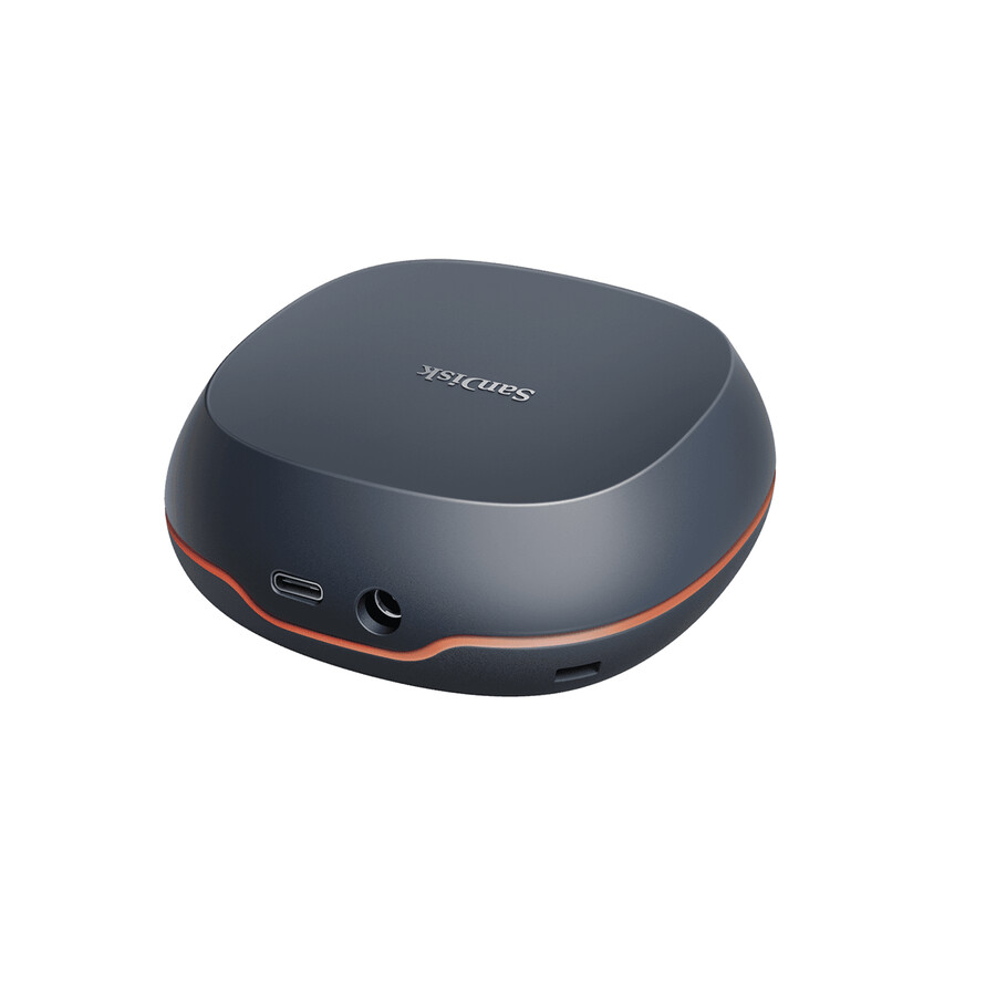 unità disco fisso sandisk da 4 tb sandisk