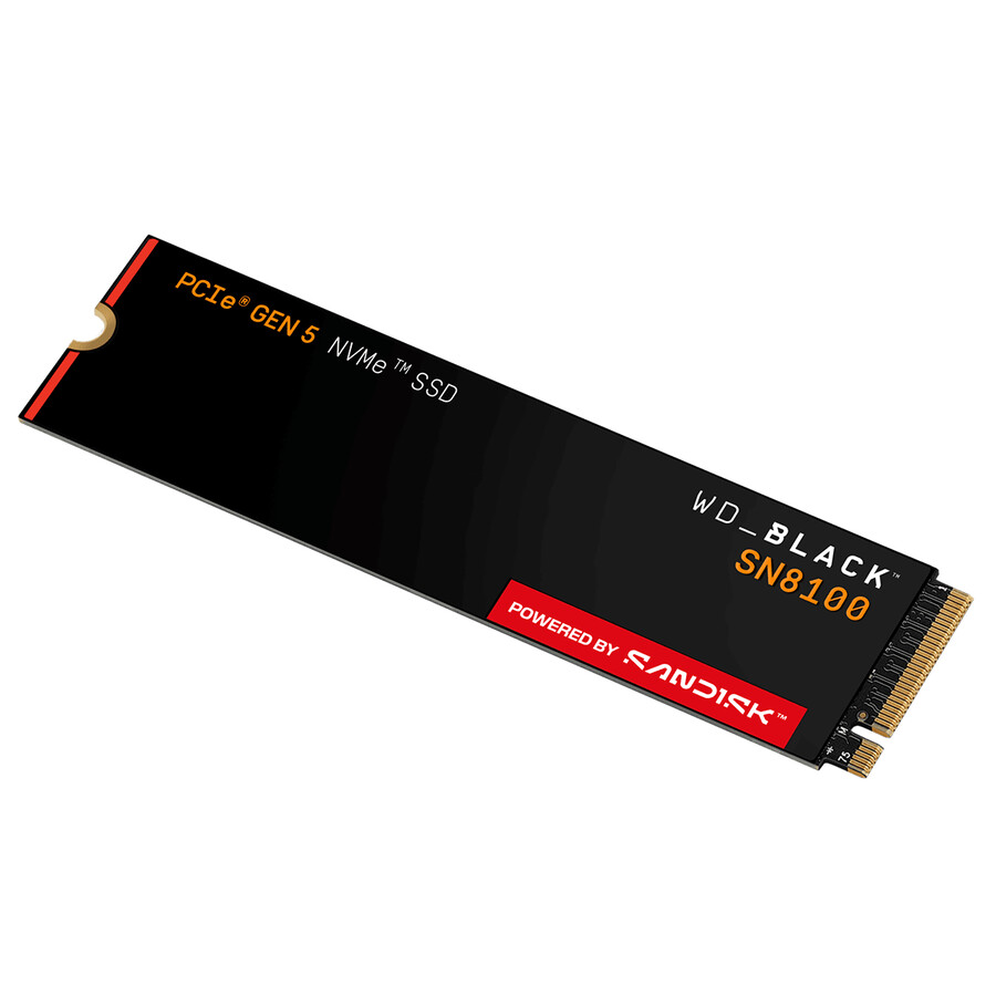 ssd nvme wd_black sn8100 da 2 tb con dissipatore di calore sandisk