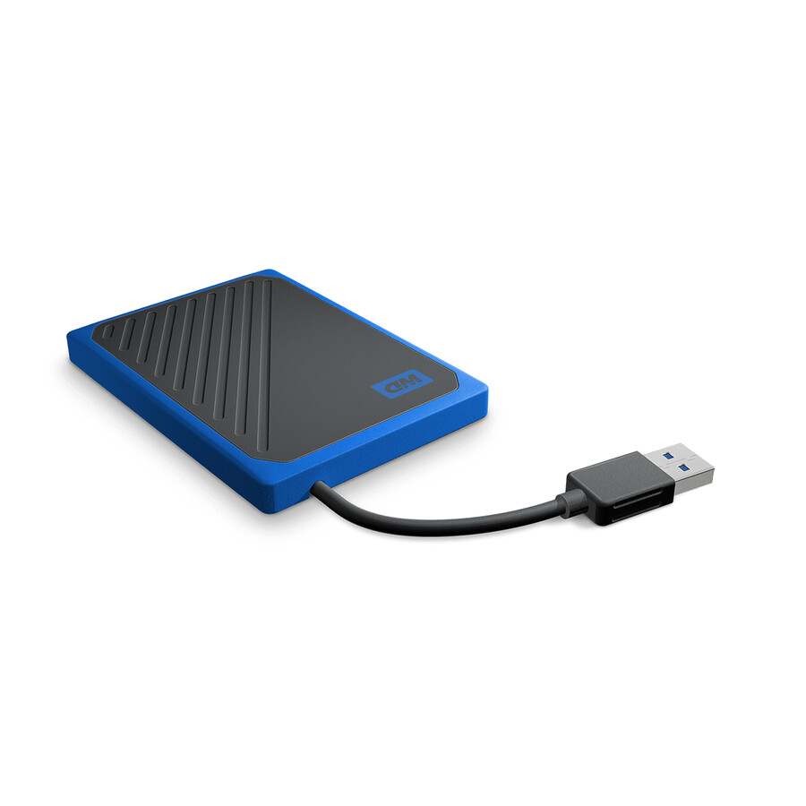 500 gb blue my passport go sandisk